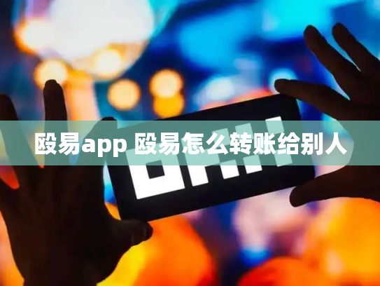 殴易app 殴易怎么转账给别人
