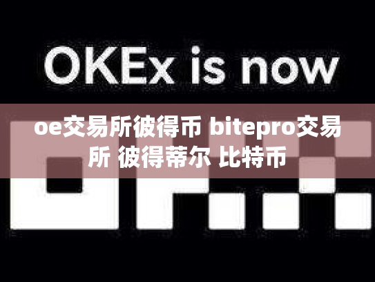 oe交易所彼得币 bitepro交易所 彼得蒂尔 比特币