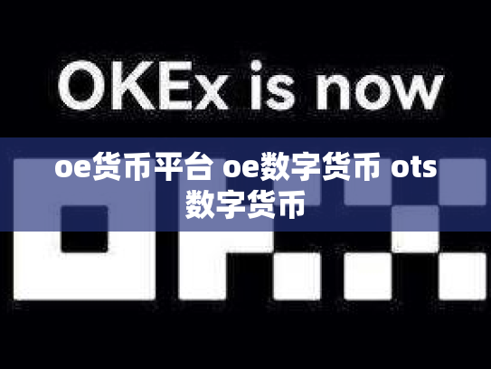 oe货币平台 oe数字货币 ots数字货币
