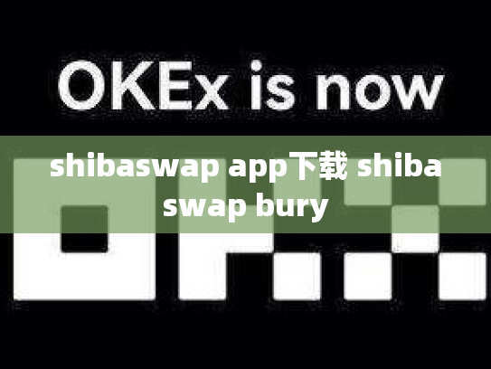 shibaswap app下载 shibaswap bury