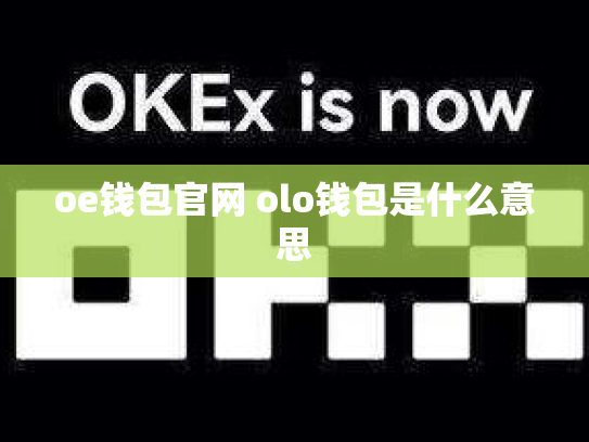 oe钱包官网 olo钱包是什么意思