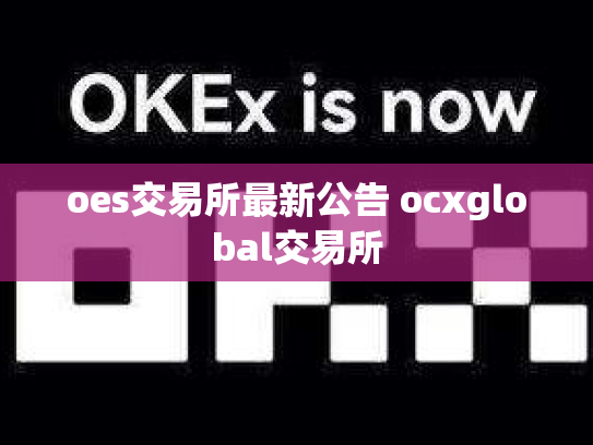 oes交易所最新公告 ocxglobal交易所
