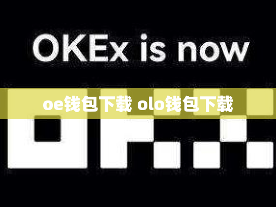 oe钱包下载 olo钱包下载