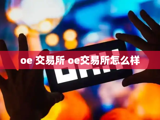 oe 交易所 oe交易所怎么样
