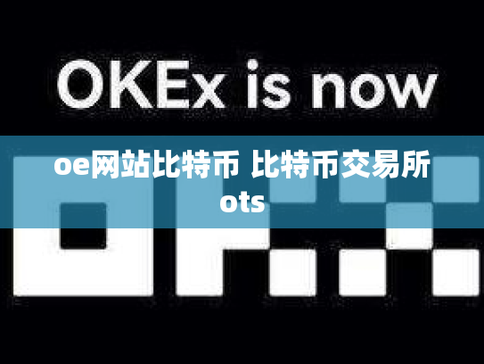 oe网站比特币 比特币交易所ots