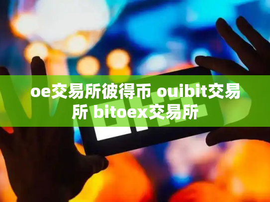 oe交易所彼得币 ouibit交易所 bitoex交易所