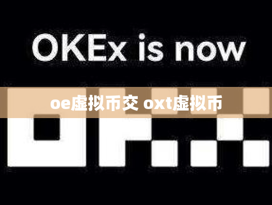 oe虚拟币交 oxt虚拟币