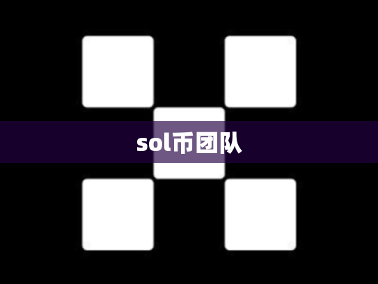 sol币团队