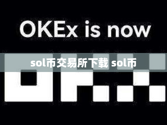 sol币交易所下载 sol币