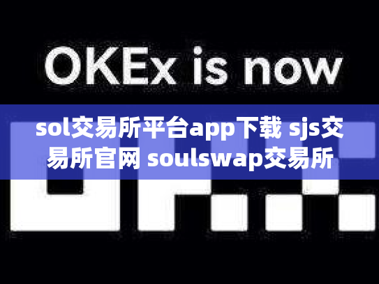 sol交易所平台app下载 sjs交易所官网 soulswap交易所