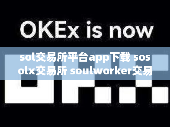 sol交易所平台app下载 sosolx交易所 soulworker交易所