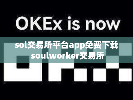 sol交易所平台app免费下载 soulworker交易所
