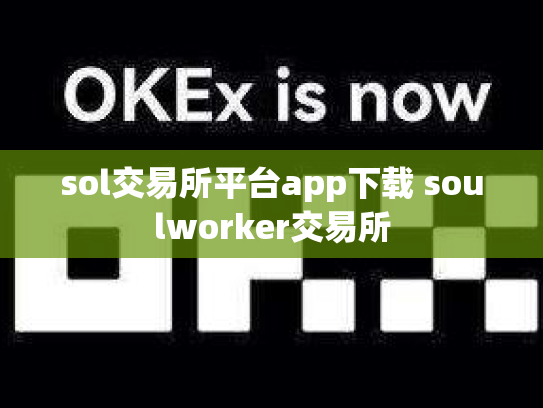 sol交易所平台app下载 soulworker交易所