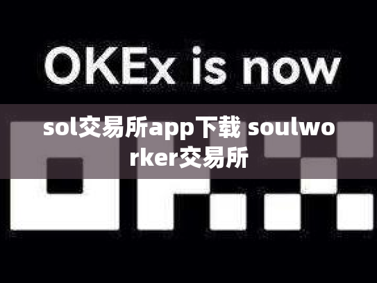 sol交易所app下载 soulworker交易所