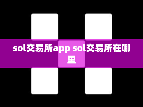 sol交易所app sol交易所在哪里