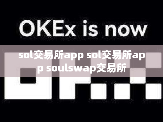 sol交易所app sol交易所app soulswap交易所