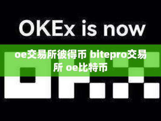 oe交易所彼得币 bitepro交易所 oe比特币