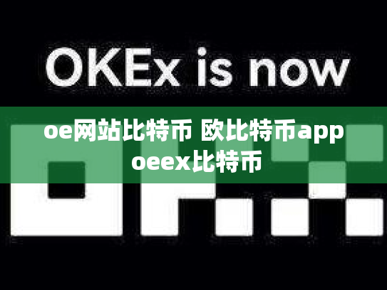 oe网站比特币 欧比特币app oeex比特币