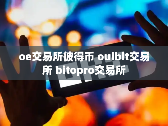 oe交易所彼得币 ouibit交易所 bitopro交易所