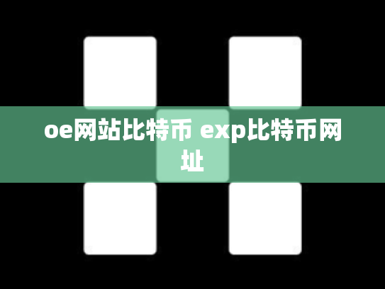 oe网站比特币 exp比特币网址