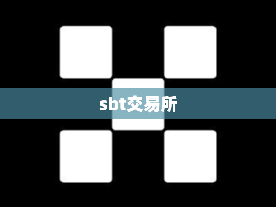 sbt交易所