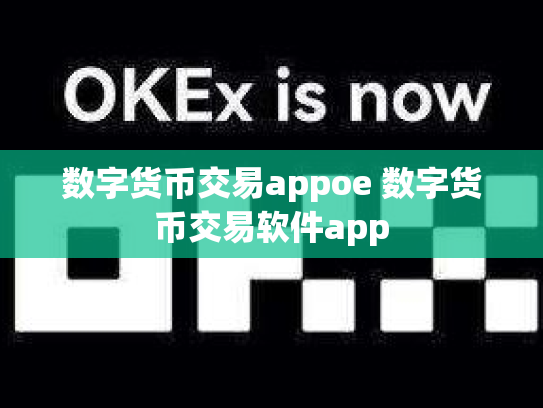 数字货币交易appoe 数字货币交易软件app
