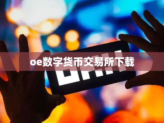 oe数字货币交易所下载