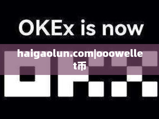 haigaolun.com|ooowellet币