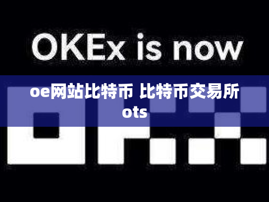 oe网站比特币 比特币交易所ots