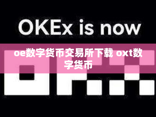 oe数字货币交易所下载 oxt数字货币