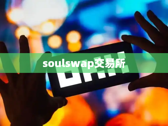 soulswap交易所