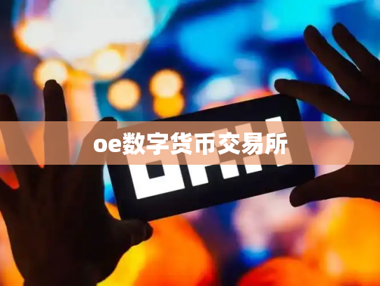 oe数字货币交易所