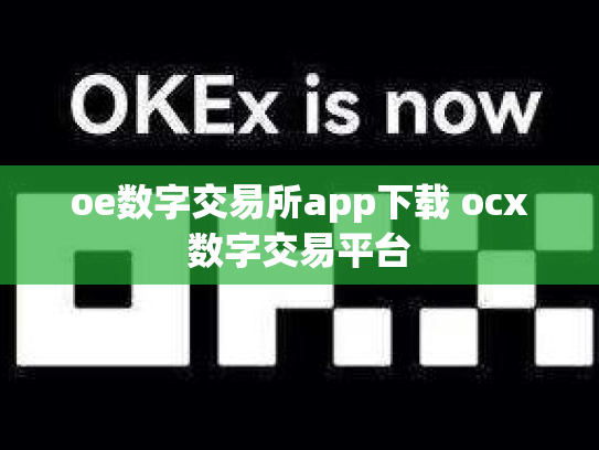 oe数字交易所app下载 ocx数字交易平台