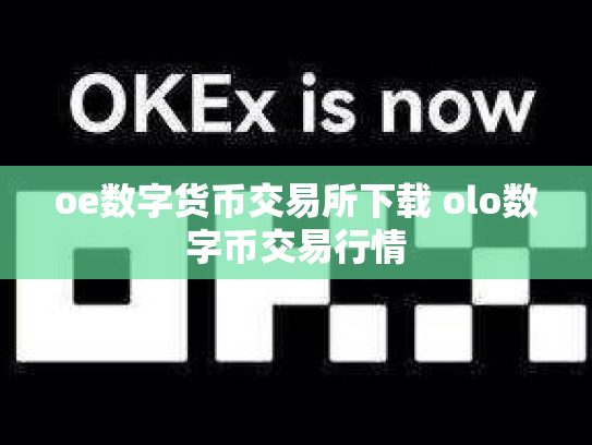 oe数字货币交易所下载 olo数字币交易行情