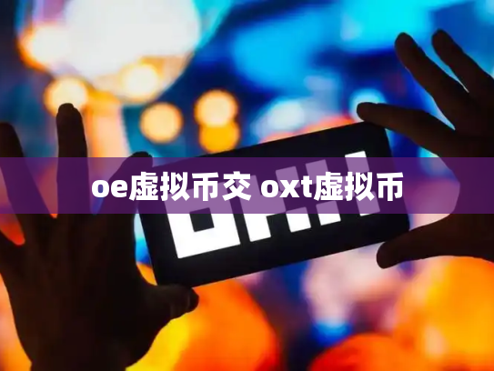 oe虚拟币交 oxt虚拟币