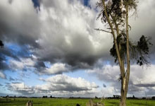 芝麻小金贷款吗